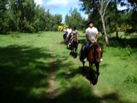 Ausritt in Mauritius - Mont Choisy Horse Riding Delights