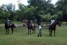 Reiten in Mauritius - Mont Choisy Horse Riding Delights