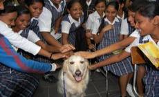 Aufklährungskampagnen in Schulen PAWS - Tierschutz in Mauritius