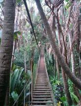 Chamarel Parc Aventure Hochseilgarten in Mauritius