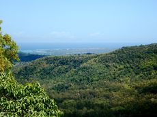 Aussicht Viewpoint Black River Georges Nationalpark Mauritius