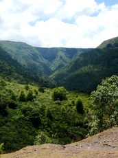 Tal im Black River Georges Nationalpark Mauritius