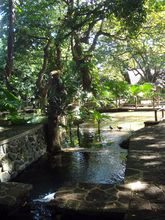 casela nature and leisure park mauritius