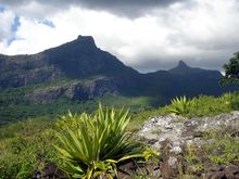 Safari Ausblick Domaine les Pailles - Ausflugsziele Mauritius