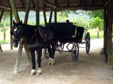 Kutschfahrt in der Domaine les Pailles - Ausflugsziele Mauritius