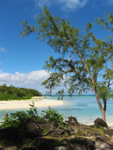 Ile aux Cerfs