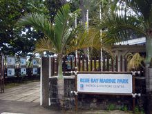 Marine Nationalpark Blue Bay - Straende Mauritius