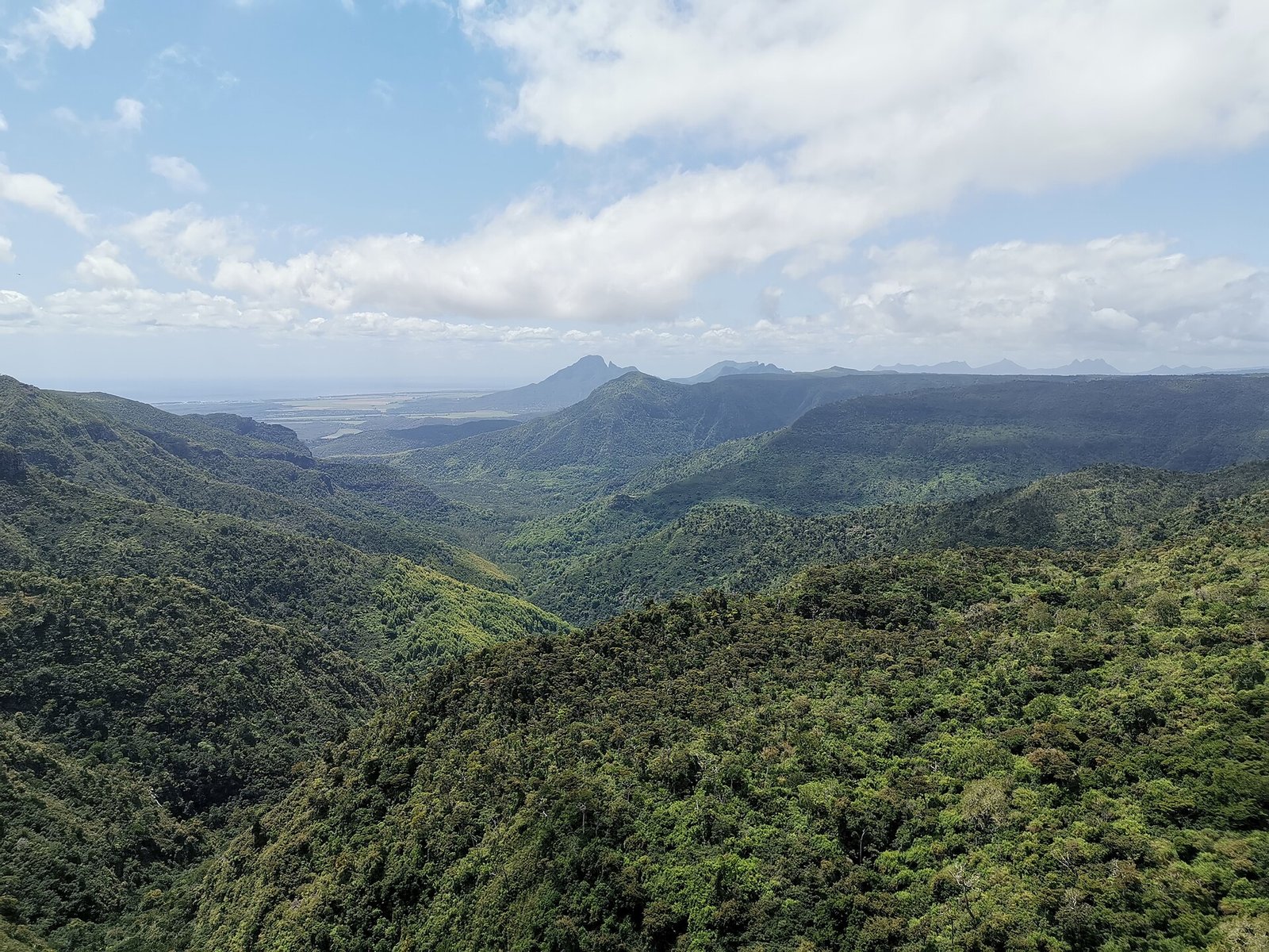 Aussicht über das Tal im Black River Gorges Nationalpark