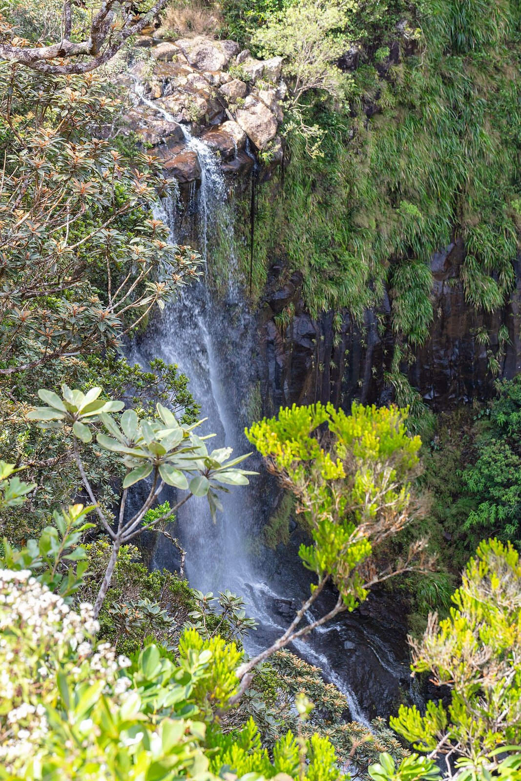 Wasserfall im Black River Gorges Nationalpark