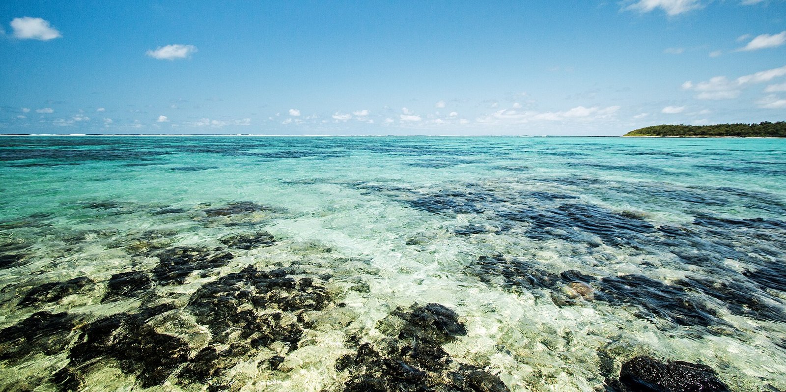 Flaches, türkisfarbenes Wasser über dem Riff vor Blue Bay
