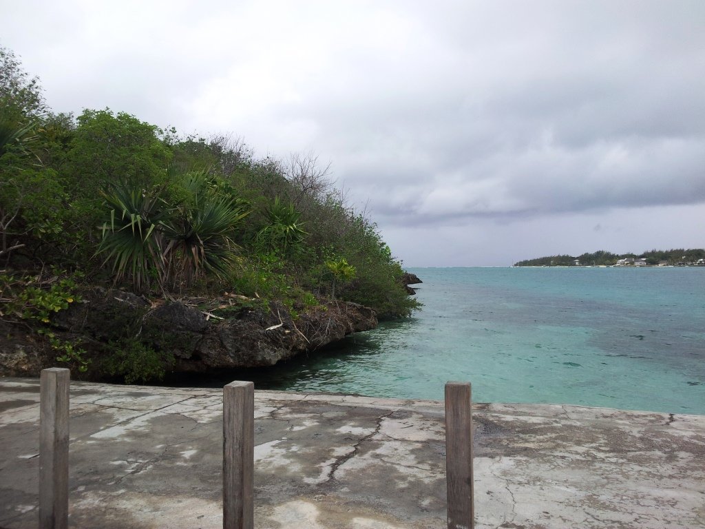 Der Anleger der Île aux Aigrettes mit der bewachsenen Küste