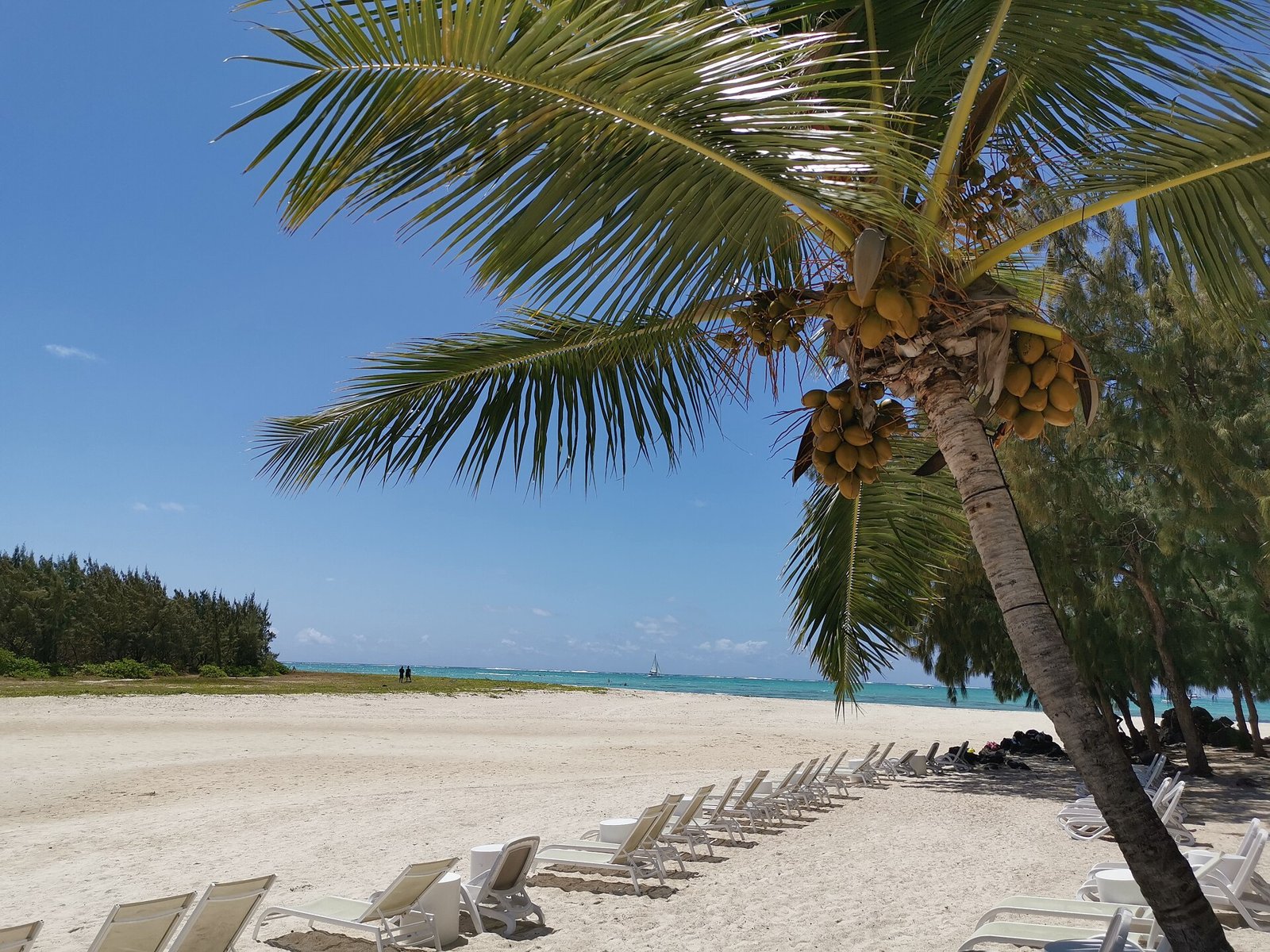 Palme und weißer Sandstrand auf der Île aux Cerfs