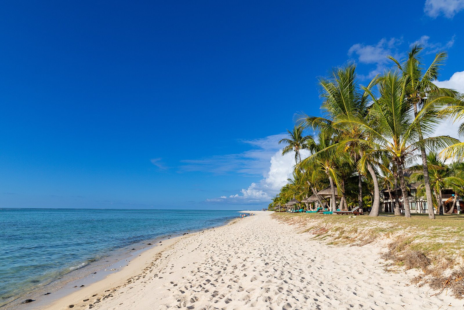 Der Strand von Le Morne mit Palmen
