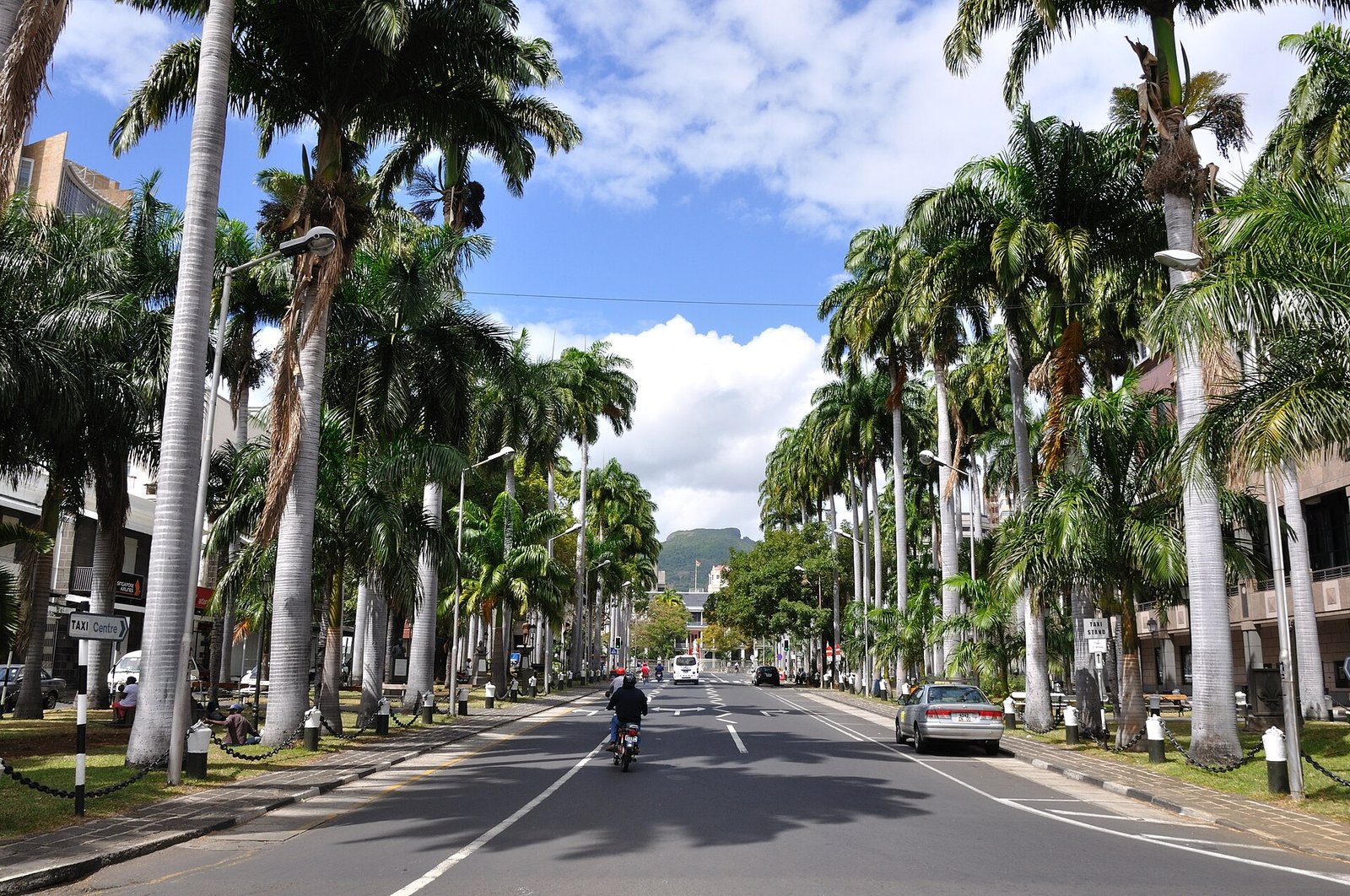 Palmenallee an der Place d'Armes in Port Louis