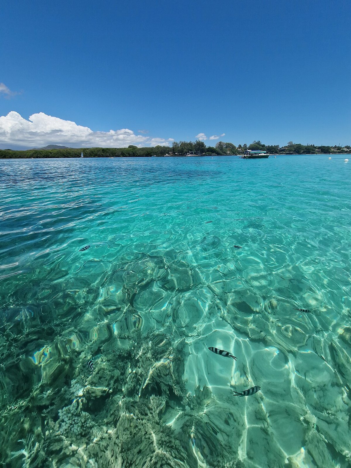 Klares, flaches Wasser in der Blue Bay an der Südostküste