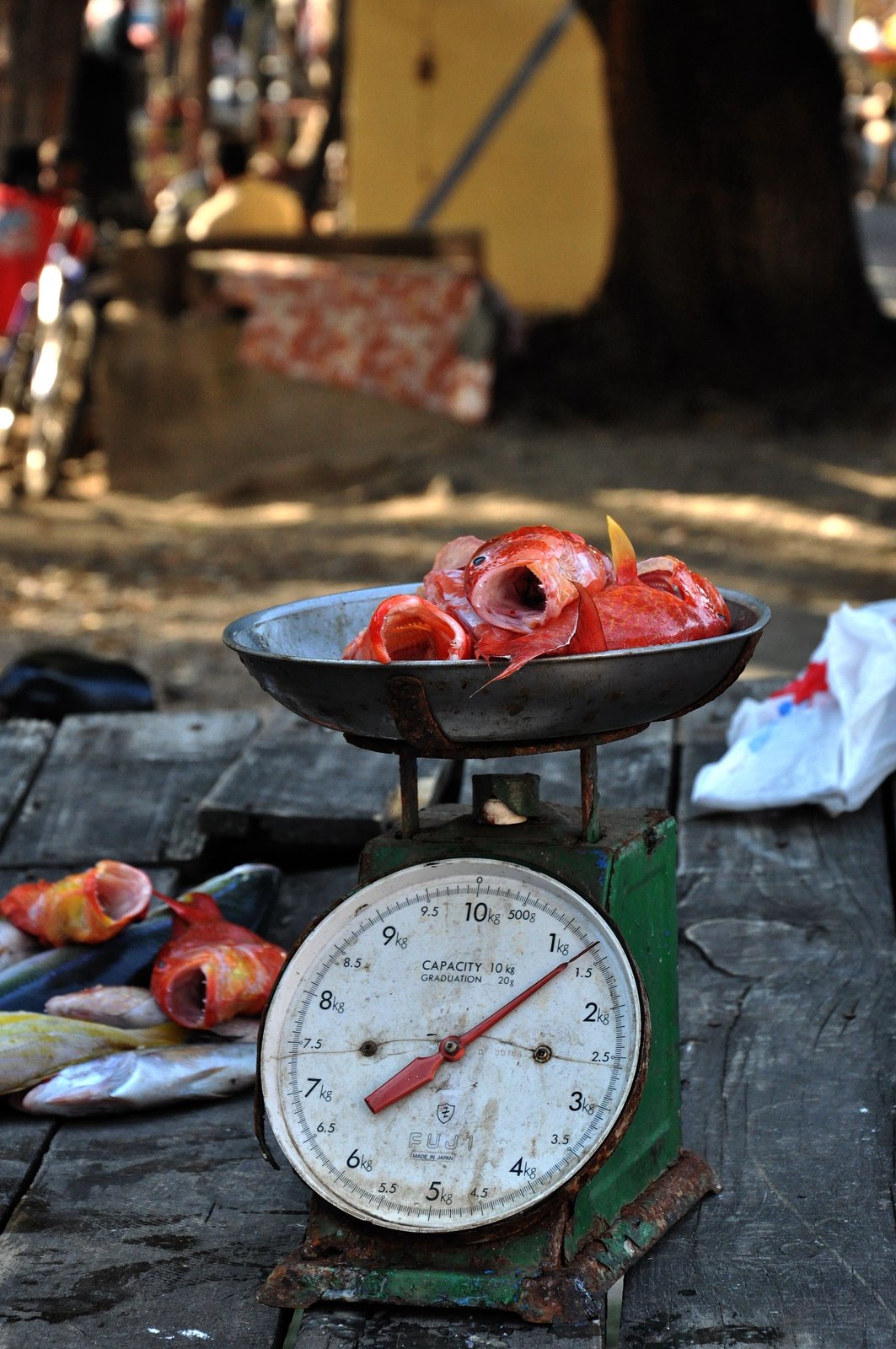 Frischer Fisch an einem Stand in Grand Baie