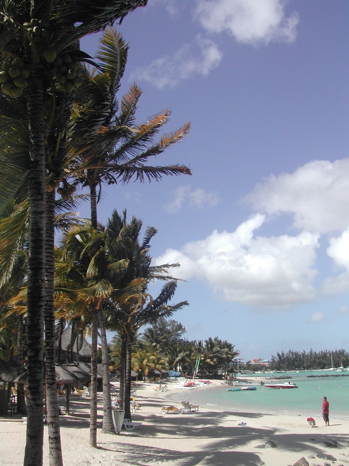 Palmen und Sandstrand an der Bucht von Grand Baie