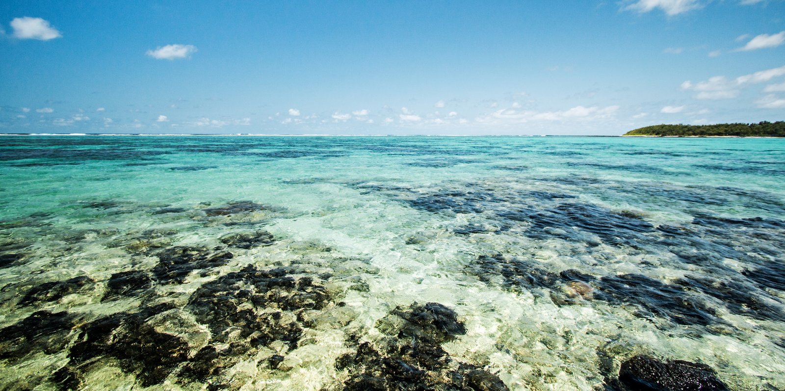 Klares Wasser und Riffplatten in der Lagune von Blue Bay