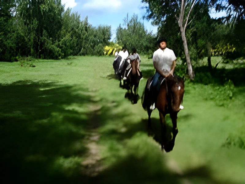 Ausritt in Mauritius - Mont Choisy Les Écuries
