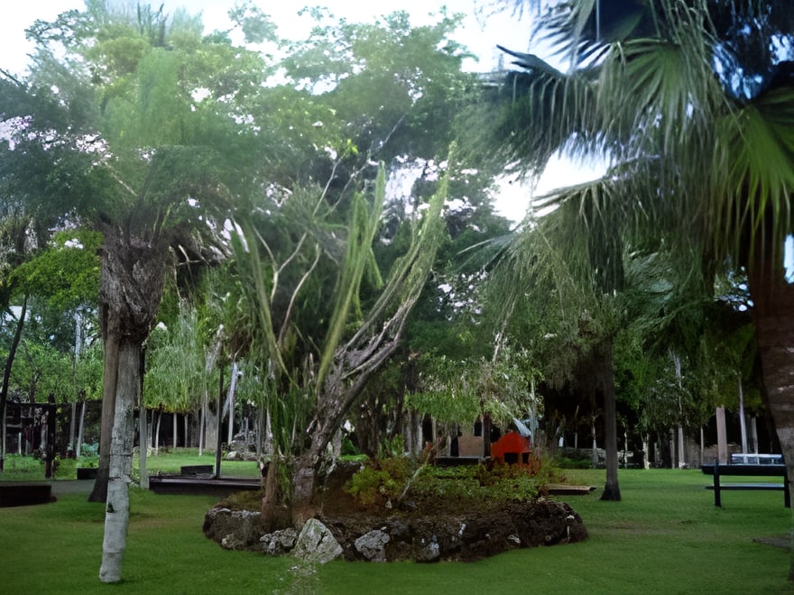 Balfour Garden in Beau Bassin - Mauritius